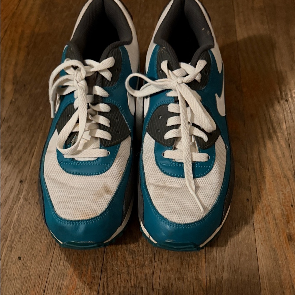 Nike Air Max (Men’s US 10.5)